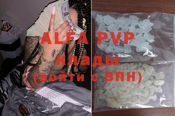 индика Алзамай