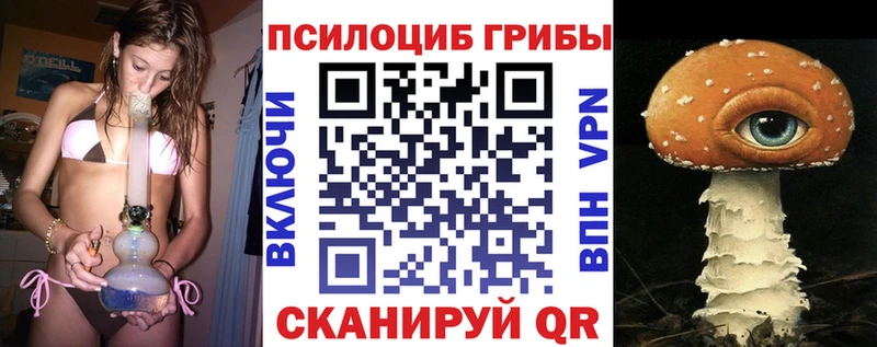 Псилоцибиновые грибы Psilocybe  Заринск 
